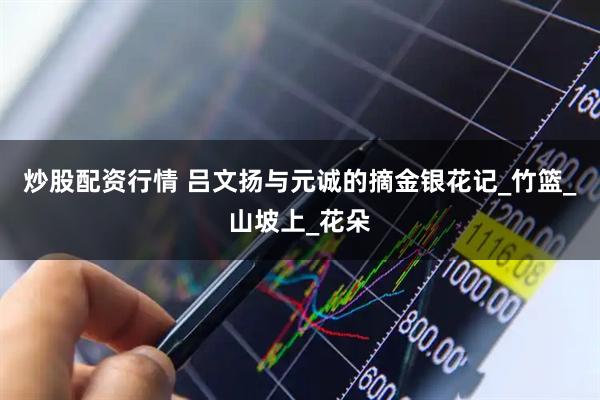 炒股配资行情 吕文扬与元诚的摘金银花记_竹篮_山坡上_花朵
